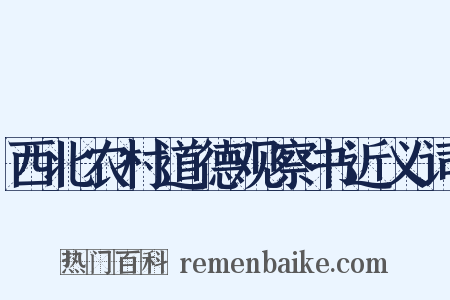 西北农村道德观察书近义词是什么意思的图片